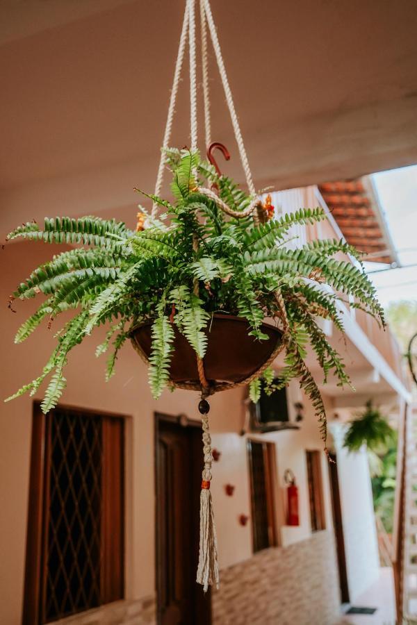 Pousada Igarapé Barreirinhas Esterno foto